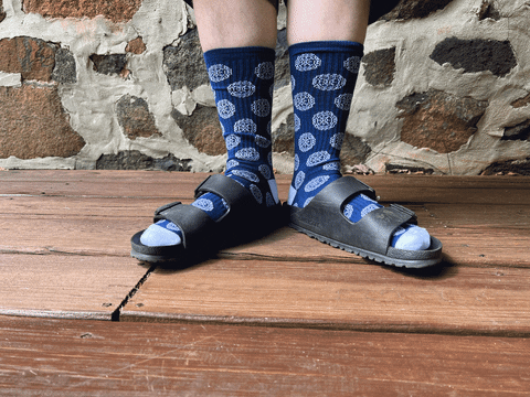 Compass Socks